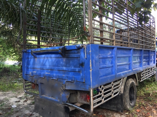 รถอีซูซู 6 ล้อ ( ไม่ดั้ม. )  NKR 130 แรงม้า. ปี 44.    สนใจติดต่อ  081 - 6079515