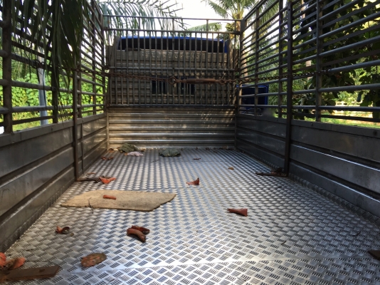 รถอีซูซู 6 ล้อ ( ไม่ดั้ม. )  NKR 130 แรงม้า. ปี 44.    สนใจติดต่อ  081 - 6079515