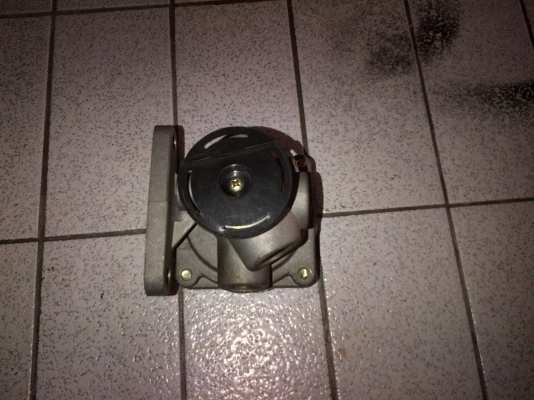 ขายซาลาเปา  900 บาทโทร 0906208746