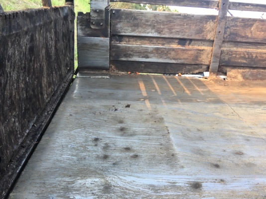 รถอีซูซุ 6 ล้อดั้ม FRR 175 แรงม้า  ปี 41.   สนใจติดต่อ  081 - 6079515