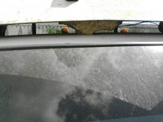 รถอีซูซุ 6 ล้อ ตู้แห้ง NPR 130 แรงม้า. ปี 48.   สนใจติดต่อ  081 - 6079515