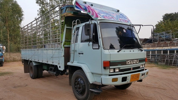 ขาย6ล้อยาว อีซูซุร็อคกี้ 195นางฟ้าปี38 FTR32LR กระบะยาว6.50เมตร แชชซีสวยเดิมบางภายในครบ เพาเวอร์ เบรคทิ๊ฟฟี่ พร้อมคอกแผงข้างเสริม หัวเดิมบาง เอกสารเล่มทะเบียนพร้อมโอน