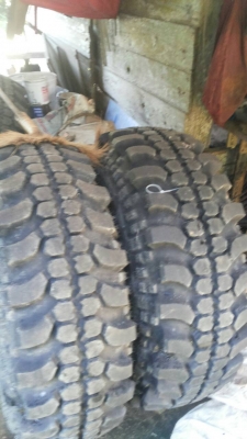 ยางตะขาบ