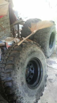 ยางตะขาบ