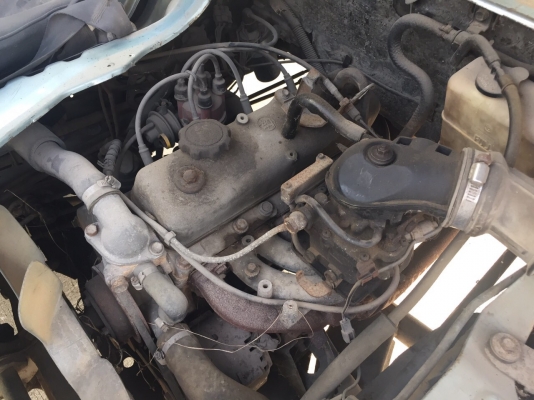 ขายแล้ว