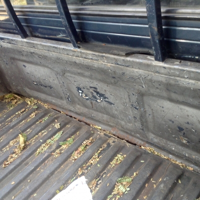 ขายรถบ้านไมตี้ ตอนเดียว ขายรถบ้านไมตี้ ตอนเดียว