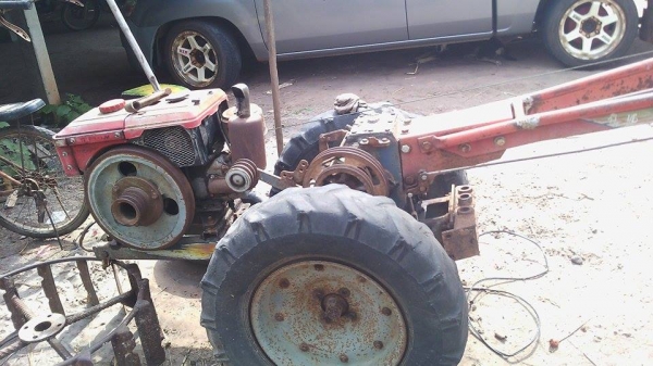 ขายยันม่า mจ้าวโลกหางลิงลม