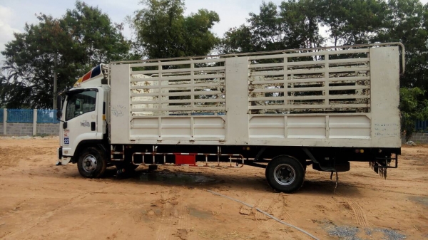 ขายด่วน ISUZU FRR210แรง ยาว6.50 เดิมทุกชิ้น90\% ขายด่วน ISUZU FRR210แรง ยาว6.50 เดิมทุกชิ้น90\%