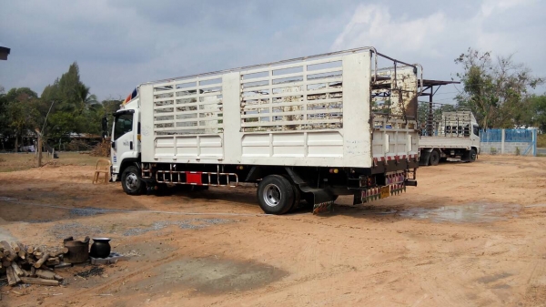 ขายด่วน ISUZU FRR210แรง ยาว6.50 เดิมทุกชิ้น90\% ขายด่วน ISUZU FRR210แรง ยาว6.50 เดิมทุกชิ้น90\%