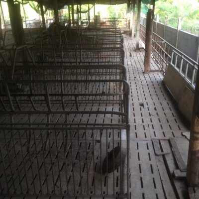 ขายด่วนโรงสีกลาง เเละ คอกหมู ขายด่วนโรงสีกลาง เเละ คอกหมู