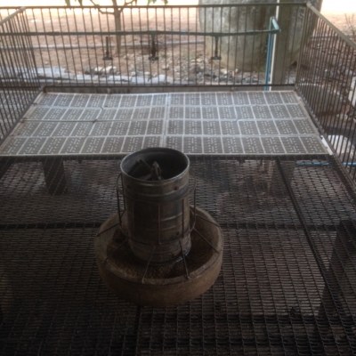 ขายด่วนโรงสีกลาง เเละ คอกหมู ขายด่วนโรงสีกลาง เเละ คอกหมู