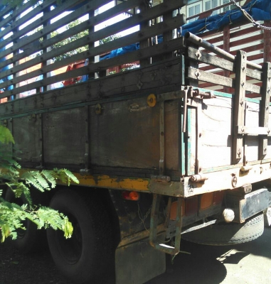 สิบล้อ มิตซู FUSO 215 6D15 เพาเดียว สภาพดีสวยบางเดิมพร้อมใช้ ทะเบียนพร้อมโอน สิบล้อ มิตซู FUSO 215 6D15 เพาเดียว สภาพดีสวยบางเดิมพร้อมใช้ ทะเบียนพร้อมโอน