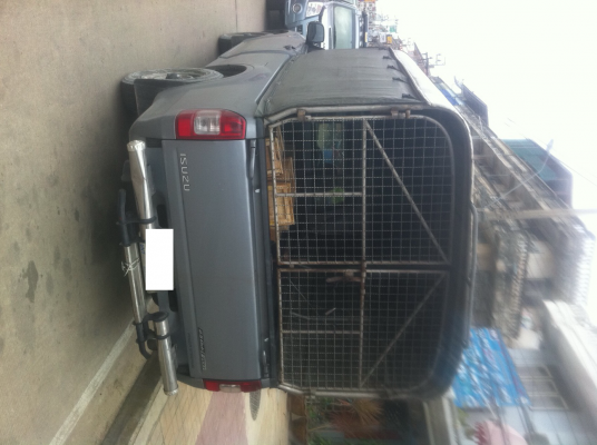 ขายหลังคารถ อีซุซุ ดีแมกซ์ 5,000 โทร 0818193515