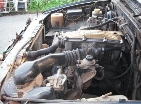 ขายรถกระบะตอนเดียวอีซูซุTFRปี96(คันซีหัก)เครื่องดีสภาพตามรูปเลยครับ((ขายตามสภาพ))