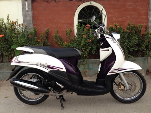 ขายfinoสีขาวม่วง คลาสสิคปี2555 ขายfinoสีขาวม่วง คลาสสิคปี2555