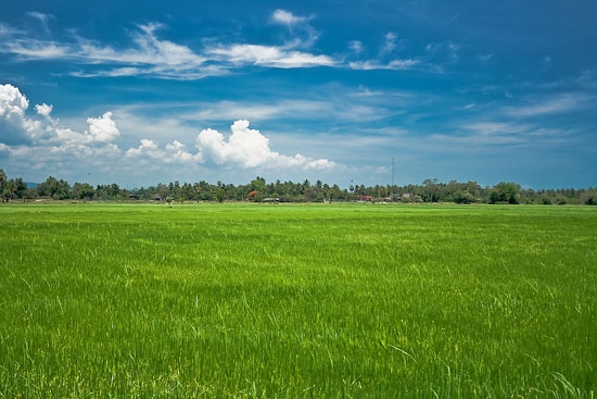 ที่ดินติดถนนใหญ่20ไร่ โคกกระเทียม อ.เมือง ลพบุรี