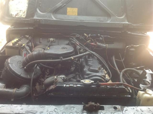 ขายคาริเบี้ยนกระบะเข้าสวนครับ