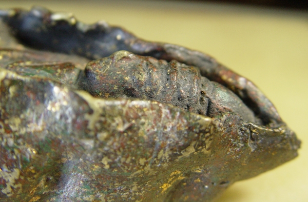 พระอะไรก็ไม่ทราบครับนอนอยู่ในหอย พระอะไรก็ไม่ทราบครับนอนอยู่ในหอย