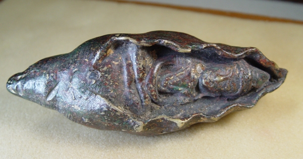 พระอะไรก็ไม่ทราบครับนอนอยู่ในหอย