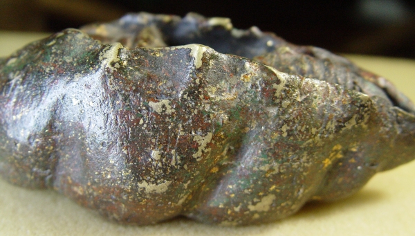 พระอะไรก็ไม่ทราบครับนอนอยู่ในหอย พระอะไรก็ไม่ทราบครับนอนอยู่ในหอย