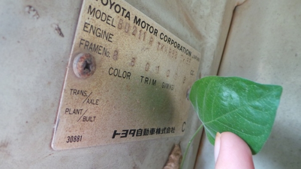 TOYOTA  DYNA 400  มีเล่มทะบียน  จอดมาสี่ปีค่ะ