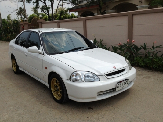 ขาย ตาโตขาวสวย ราคาต่อรองได้ครับ