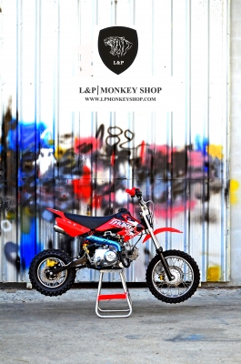 #วิบาก ล็อตใหม่  สินค้านำเข้ามาใหม่  มอเตอร์ครอส เครื่อง 110 cc ทรง CRF 50 จัดโปรโมชั่นต้อนรับปีใหม่