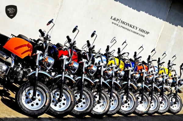 #จัดโปโมชั่นปีใหม่ 2016.มังกี้ กอลิล่า เดิม ราคาสุดๆ เริ่มต้นเพียง 2XXXX  แต่งๆๆ ลดราคาทุกรุ่นและมีของแถมอีกมากมาย  ด่วนๆๆ ลดๆๆ   เริ่มต้นราคา 25900