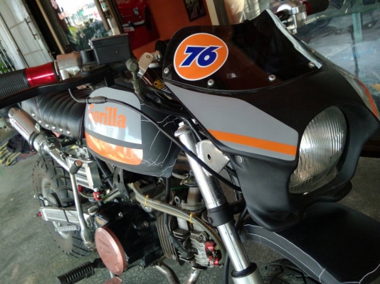 ขายถูก กอริลล่า สีดำ