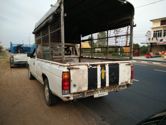 ขายบิ๊กเอ็ม เครื่องz20 แซสซีสวย