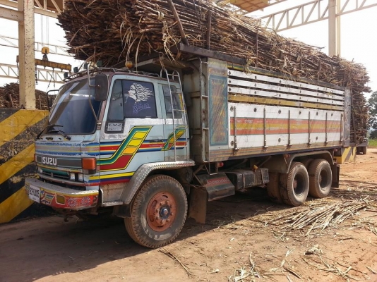 ขายดั้ม2เพลา ร็อกกี้195แรง พาวเวอร์ ทิฟฟี่ ภายในสวย กระบะดั้มมิเนียม เอกสารพร้อมโอน สนใจโทร 090-8588220คุณนะ 093-3258446คุณบิว หรือเข้าดูสินค้าอื่นๆได้ที่ www.truck.in.th/498 หรือเพจFacebook ณรงค์ ซื้อขายรถมือสอง (เว็บไซต์ส่วนตัว) หรือFacebook คุณนะ รถบรร