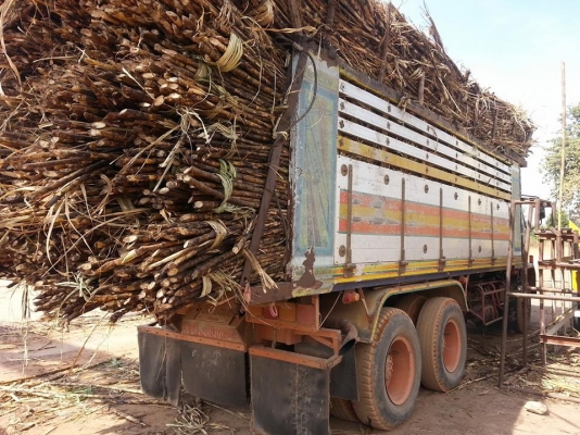 ขายดั้ม2เพลา ร็อกกี้195แรง พาวเวอร์ ทิฟฟี่ ภายในสวย กระบะดั้มมิเนียม เอกสารพร้อมโอน สนใจโทร 090-8588220คุณนะ 093-3258446คุณบิว หรือเข้าดูสินค้าอื่นๆได้ที่ www.truck.in.th/498 หรือเพจFacebook ณรงค์ ซื้อขายรถมือสอง (เว็บไซต์ส่วนตัว) หรือFacebook คุณนะ รถบรร