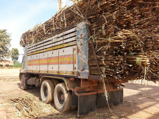 ขายดั้ม2เพลา ร็อกกี้195แรง พาวเวอร์ ทิฟฟี่ ภายในสวย กระบะดั้มมิเนียม เอกสารพร้อมโอน สนใจโทร 090-8588220คุณนะ 093-3258446คุณบิว หรือเข้าดูสินค้าอื่นๆได้ที่ www.truck.in.th/498 หรือเพจFacebook ณรงค์ ซื้อขายรถมือสอง (เว็บไซต์ส่วนตัว) หรือFacebook คุณนะ รถบรร