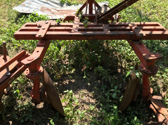 ผานยกร่องมัน