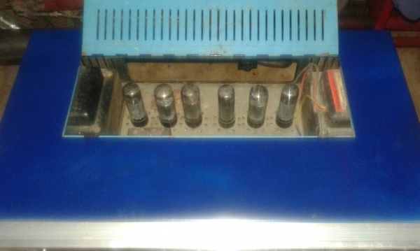 แอมหลอดตัวใหญ่ แอมหลอดตัวใหญ่