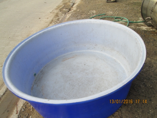 ขายครับ อ่างขนาดใหญ๋ อย่างดี ขายถูกๆ 081-585-6957 ขายครับ อ่างขนาดใหญ๋ อย่างดี ขายถูกๆ 081-585-6957