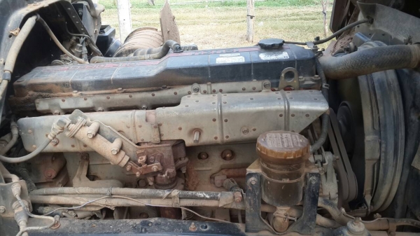 ขายด่วน หกล้อ ISUZU 195 สภาพพร้อมใช้งาน เครื่องดีคัชชีสวย เอกสารพร้อมโอน