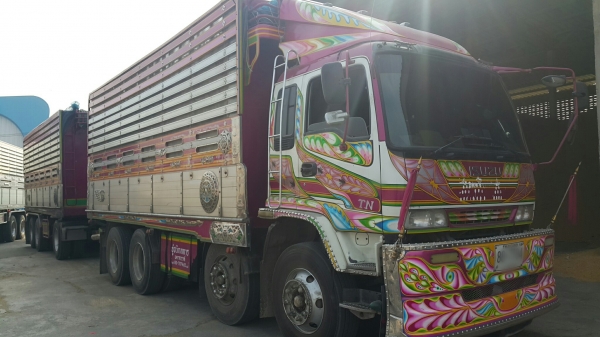 ขายรถพ่วง 24 ล้อ แม่-ลูก กระบะเนียมคอกเกษตรดั้ม อู่.ธนิกลการ นครศวรรณ ISUZU คัสทรี.นางฟ้า 240 วางเครื่อง 320 วางหัวเดก้า เกียร์อีตั้น ช่วงล้างใหญ่ ราคา1880000 รถสวย เต็ม สนใจรีบโทรจองด่วน