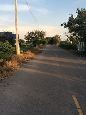 ขายที่ดิน4ไร่บ้านแพ้วถนนสวนส้ม-อำแพง