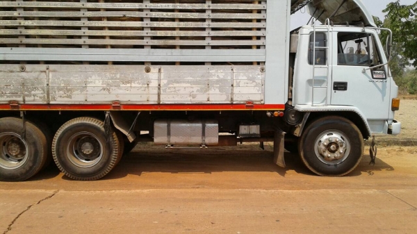 รถสิบล้อ Isuzu rocky 195