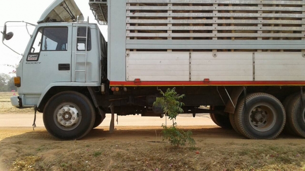 รถสิบล้อ Isuzu rocky 195