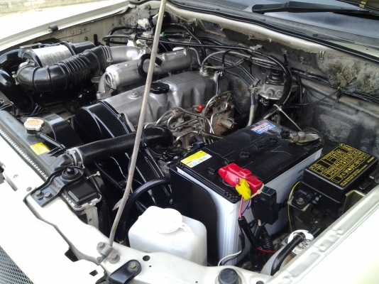 สตาด้าหัวเดียวสวยๆ