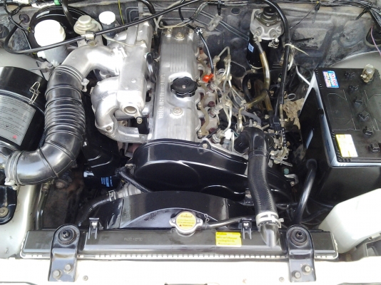 สตาด้าหัวเดียวสวยๆ