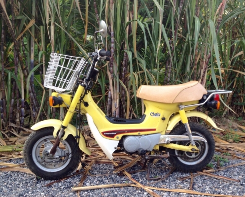 ชาลี ออโต้