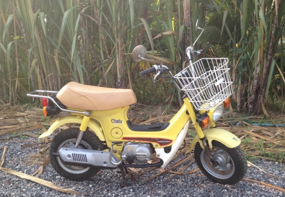 ชาลี ออโต้