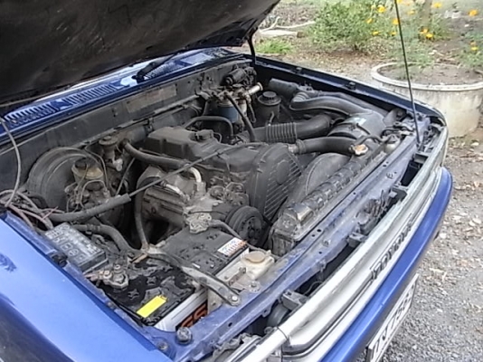 ขายไมตี้เอ็กซ์ 4 ประตู