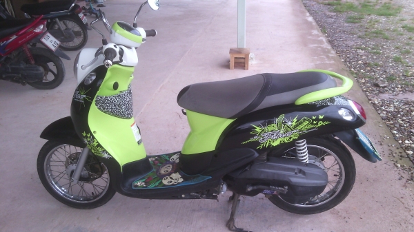 ขายฟีโน่ ปี 54 ขายฟีโน่ ปี 54