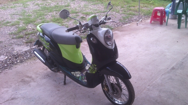 ขายฟีโน่ ปี 54