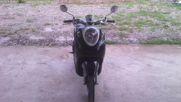 ขายฟีโน่ ปี 54 ขายฟีโน่ ปี 54