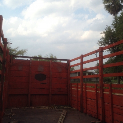 พร้อมแล้วครับ พร้อมแล้วครับNPRปี36เครื่อง4BD1 115แรงมาแรงๆสุดแห่งความประหยัดเครื่องฝิดๆคัสซีงามๆยางหน้าแท้2เส้นยางหลังยางหล่อจัดไฟแนนซ์ใด้ครับใช้เงินออก70,000บาทเท่านั้น